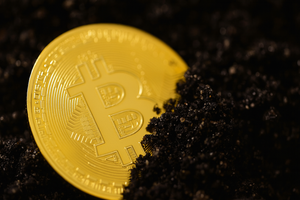 environmental-impacts-energy-consumption-solana-vs-other-blockchains